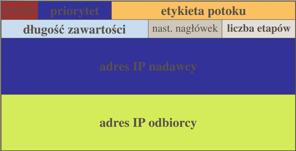 Nagłówek IPv6